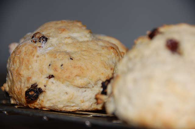 fruit-scones-cooling