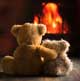 teddys by fire