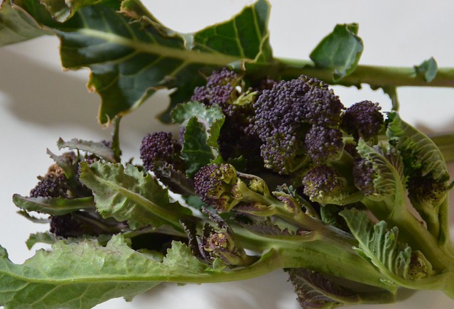 pieces of purple  sprouting broccoli