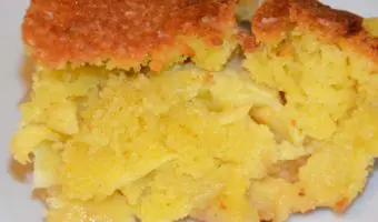 portion of apple with sponge on top