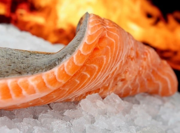 fillet of salmon