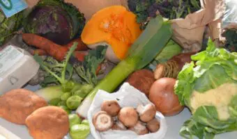 selecton of fresh vegetables - squash, leek, cabbage, mushrooms