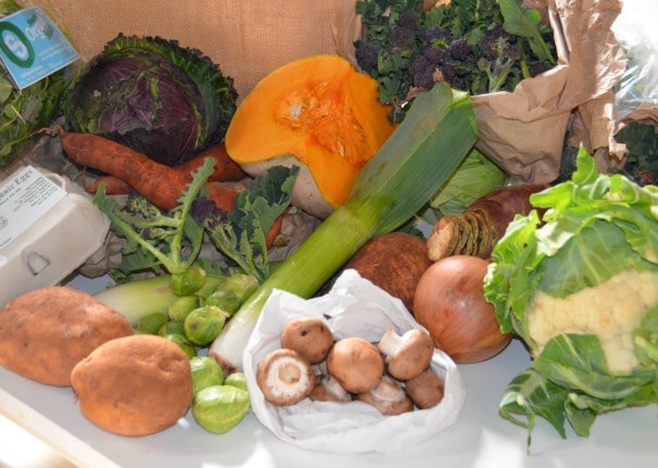 selection of fresh vegetables - squash, leek, cabbage, mushrooms